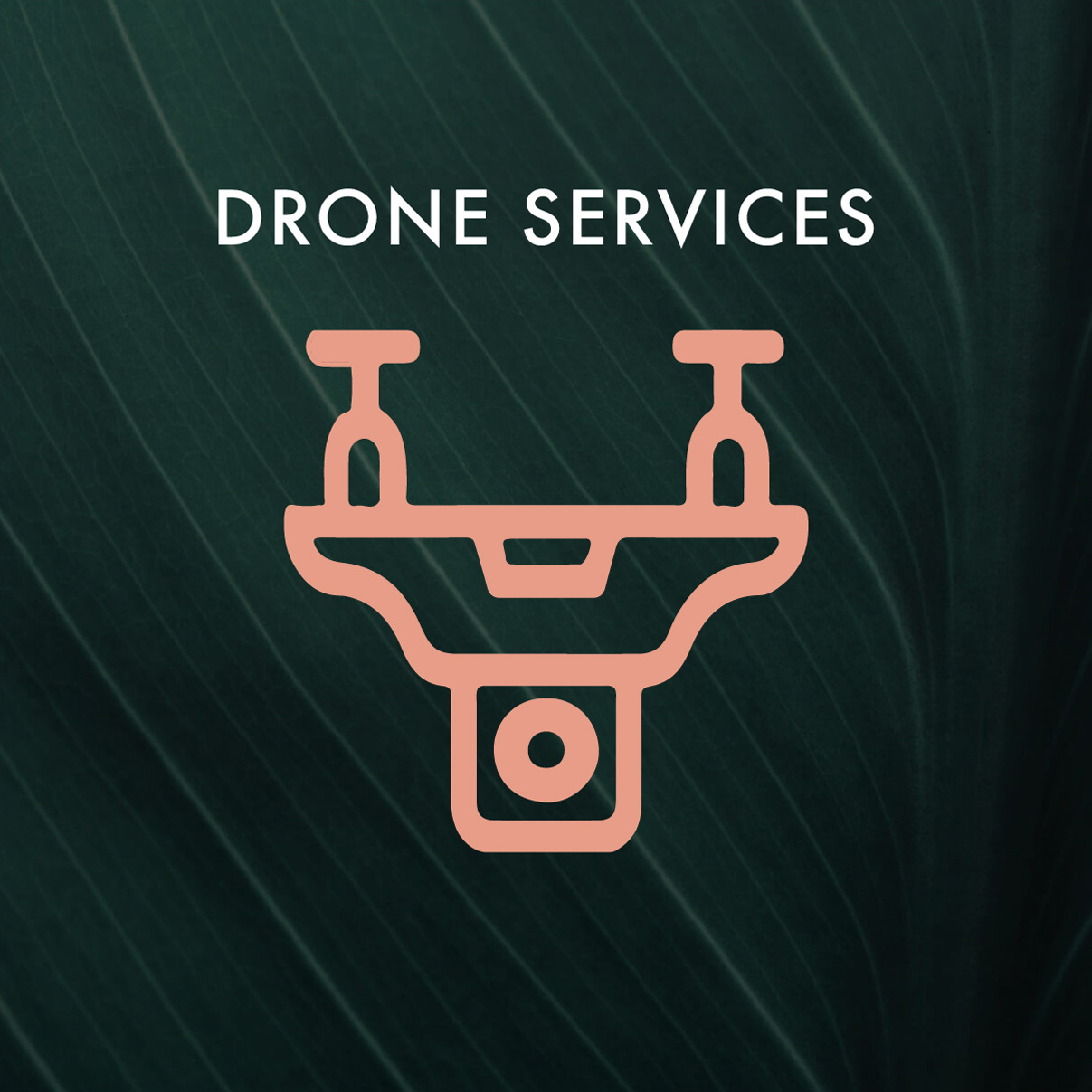 Drone Services