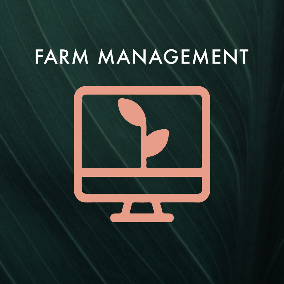 Farm Management