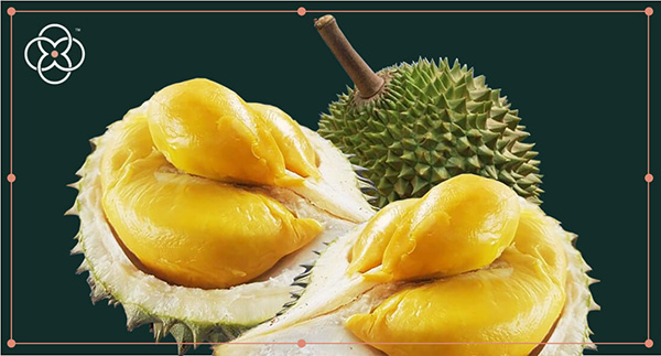 Get more info about our variation of export product.