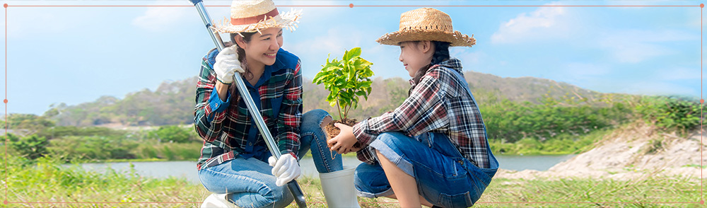 Learn more about technology and agriculture for durian plantation with us.