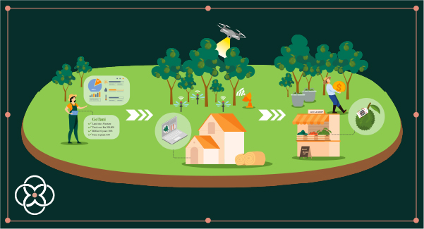 Learn more about our stage of plantation practices.