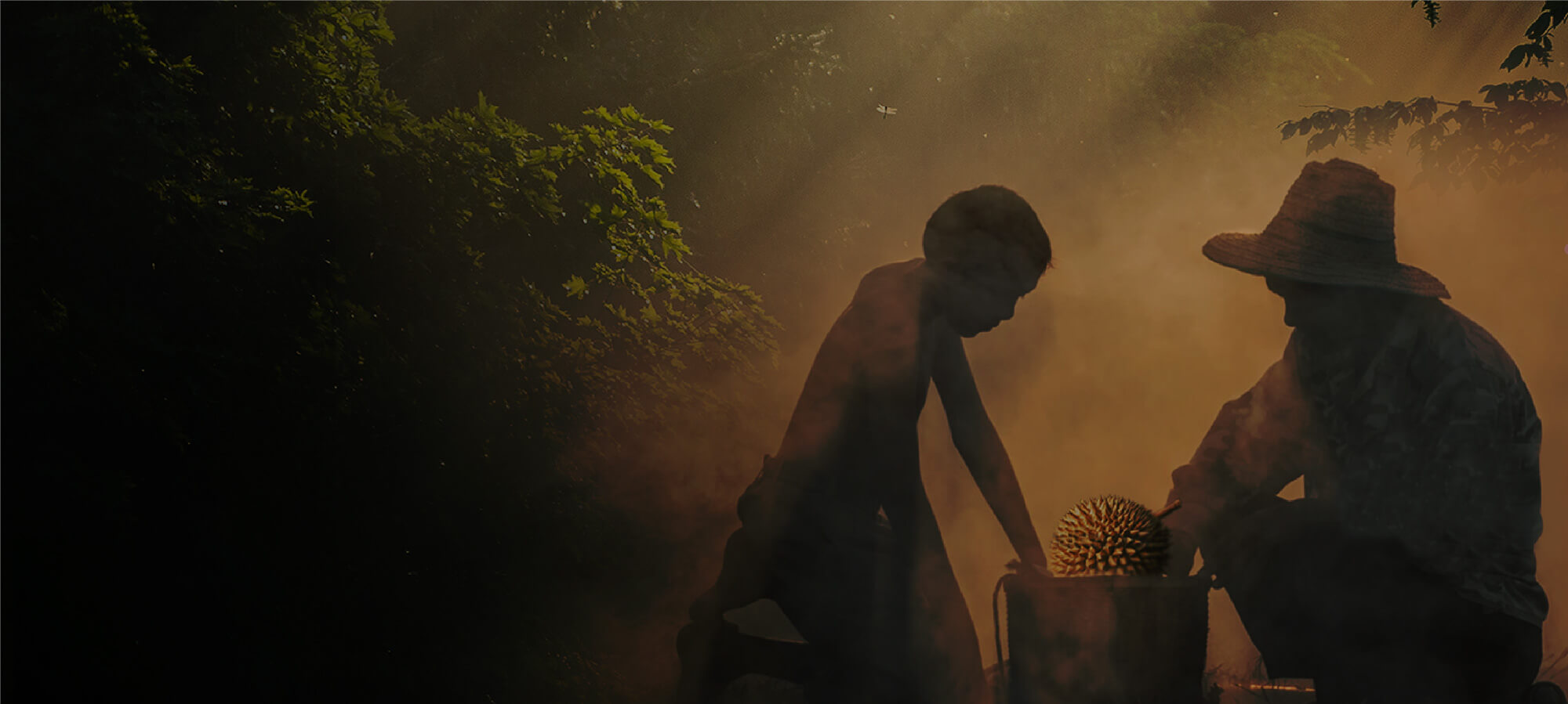 Our beautiful story begins, More info by clicking on the Read More button.